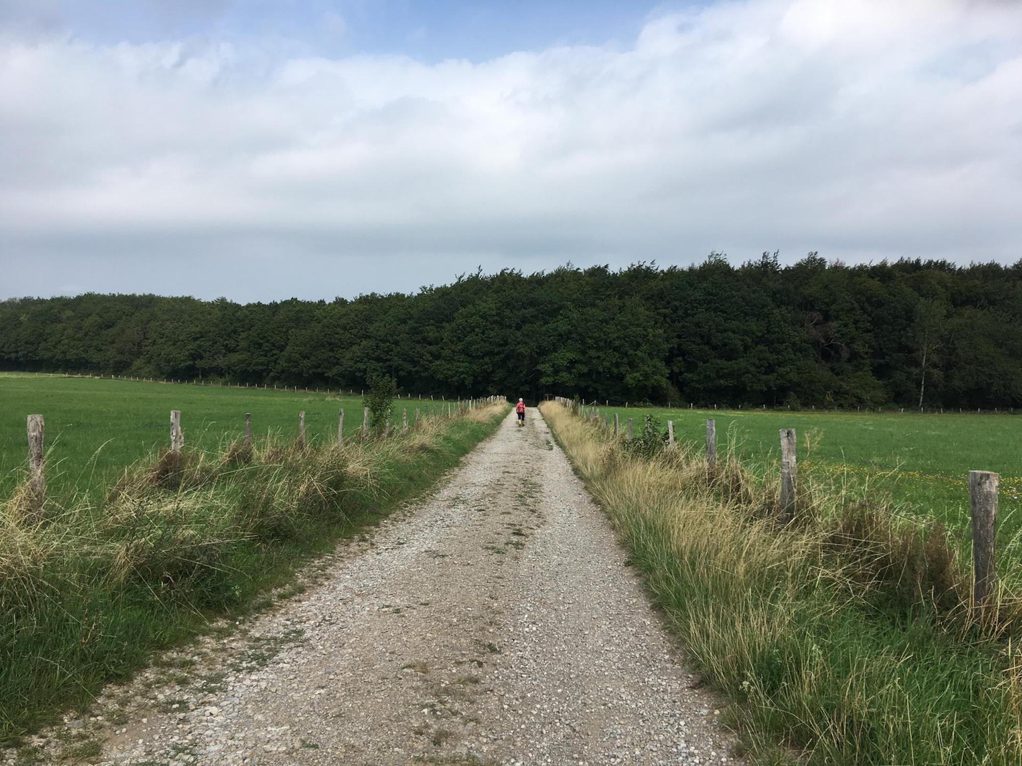 wildnis-trail