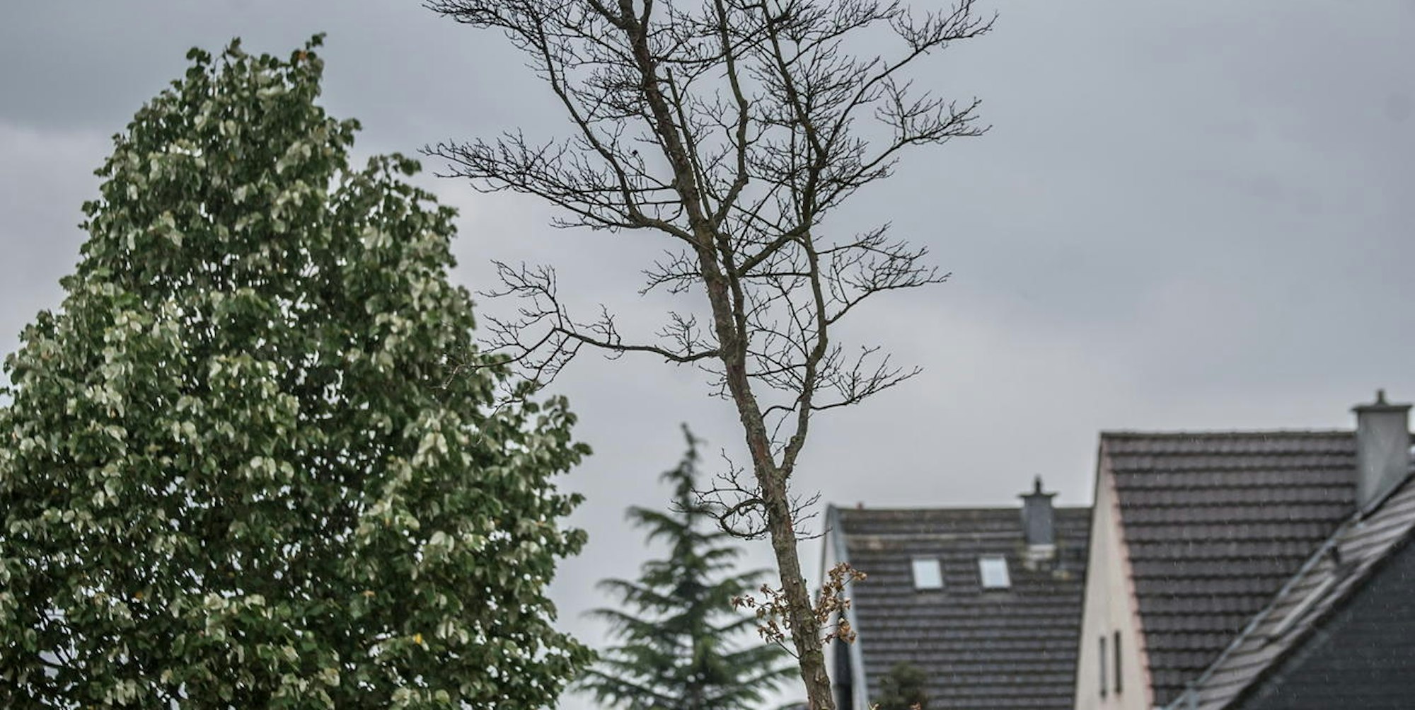 leverkusen-klima-ALF_2996