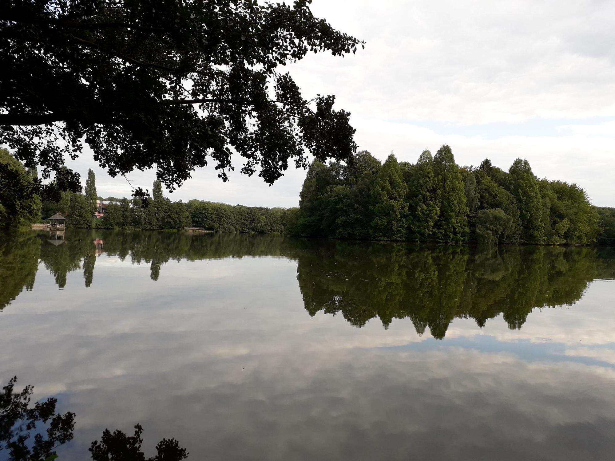 Bensberger See Saaler Mühle_Bildrechte Corinna Heyde_querformat