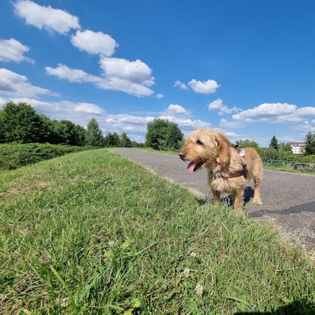 Lev_Dartpfeil_Reportage_Bürrig (7)