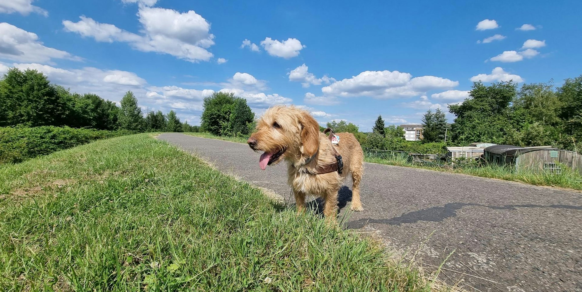 Lev_Dartpfeil_Reportage_Bürrig (7)