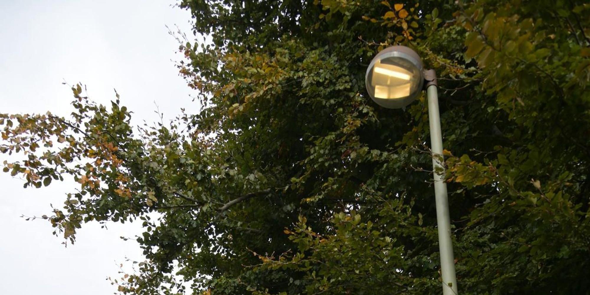 Neuer Inhalt