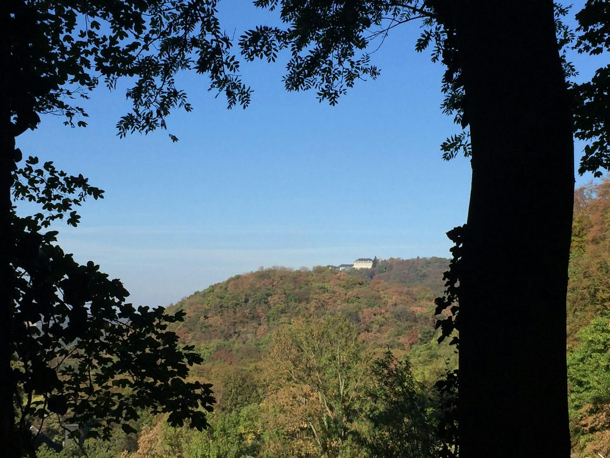 Drachenfels 2018 Blick 2