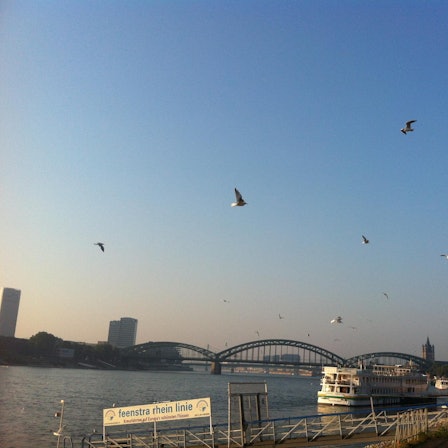 Köln3  Sonne 082016 Reiche