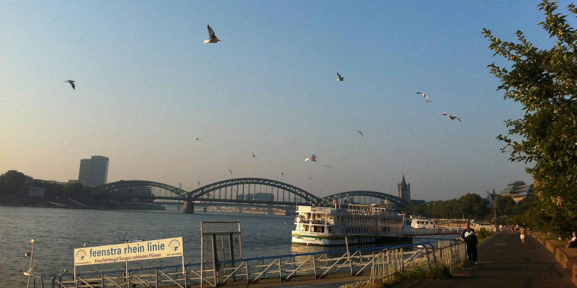 Köln3 Sonne 082016 Reiche