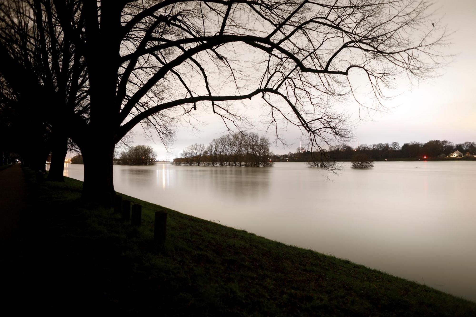 Rhein Mittwochnacht Bäume 2
