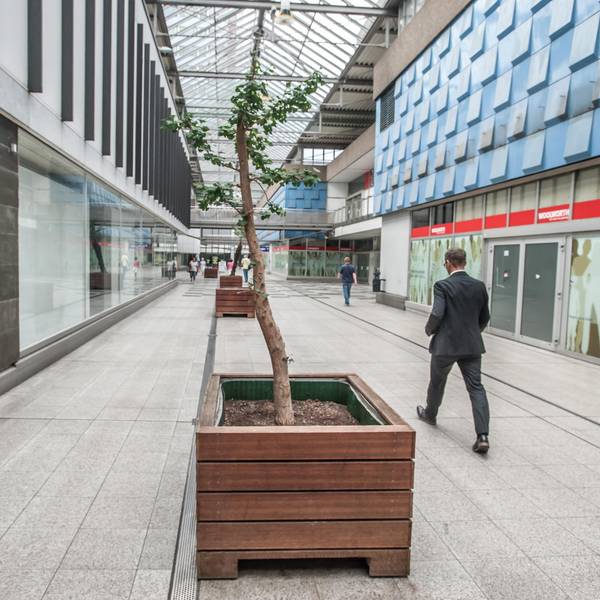 leverkusen-city-c--ALF_9260