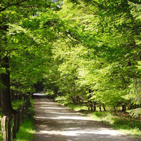 Etappe15 - 02c_Panorama auf der BruederstrasseNUR_MIT_BUCH_VERWENDEN