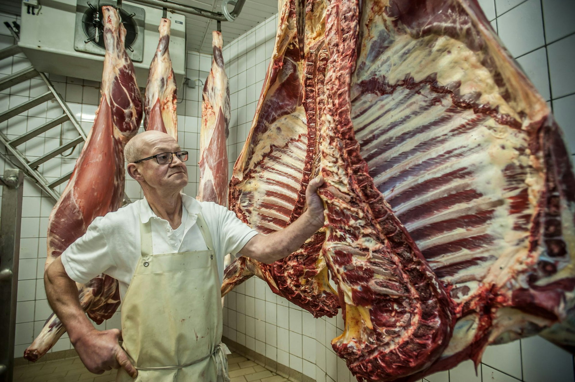 schlachthaus-herrmann-ALF_4594