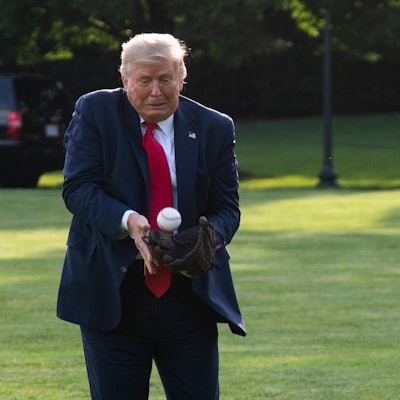 Donald Trump Baseball