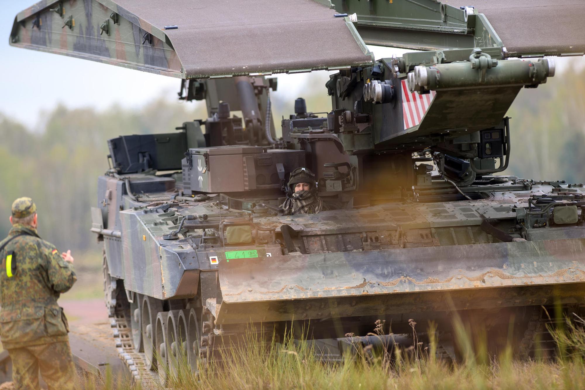 Panzer Leguan dpa