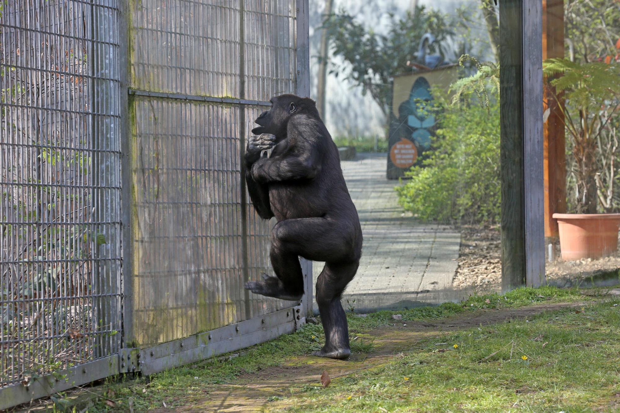 27032020_GeschlossenerZoo_17