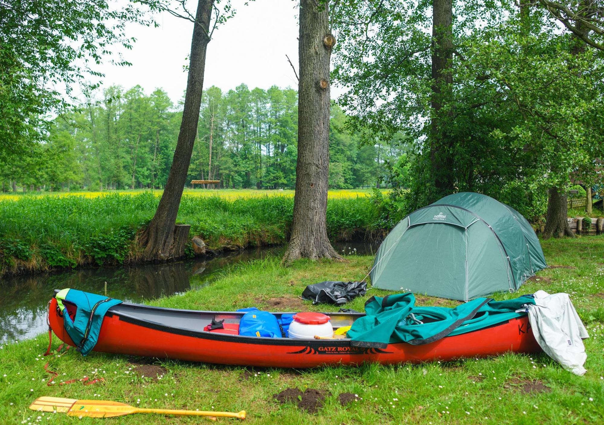 camping trend