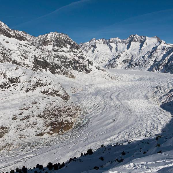 Gletscher Moosfluh