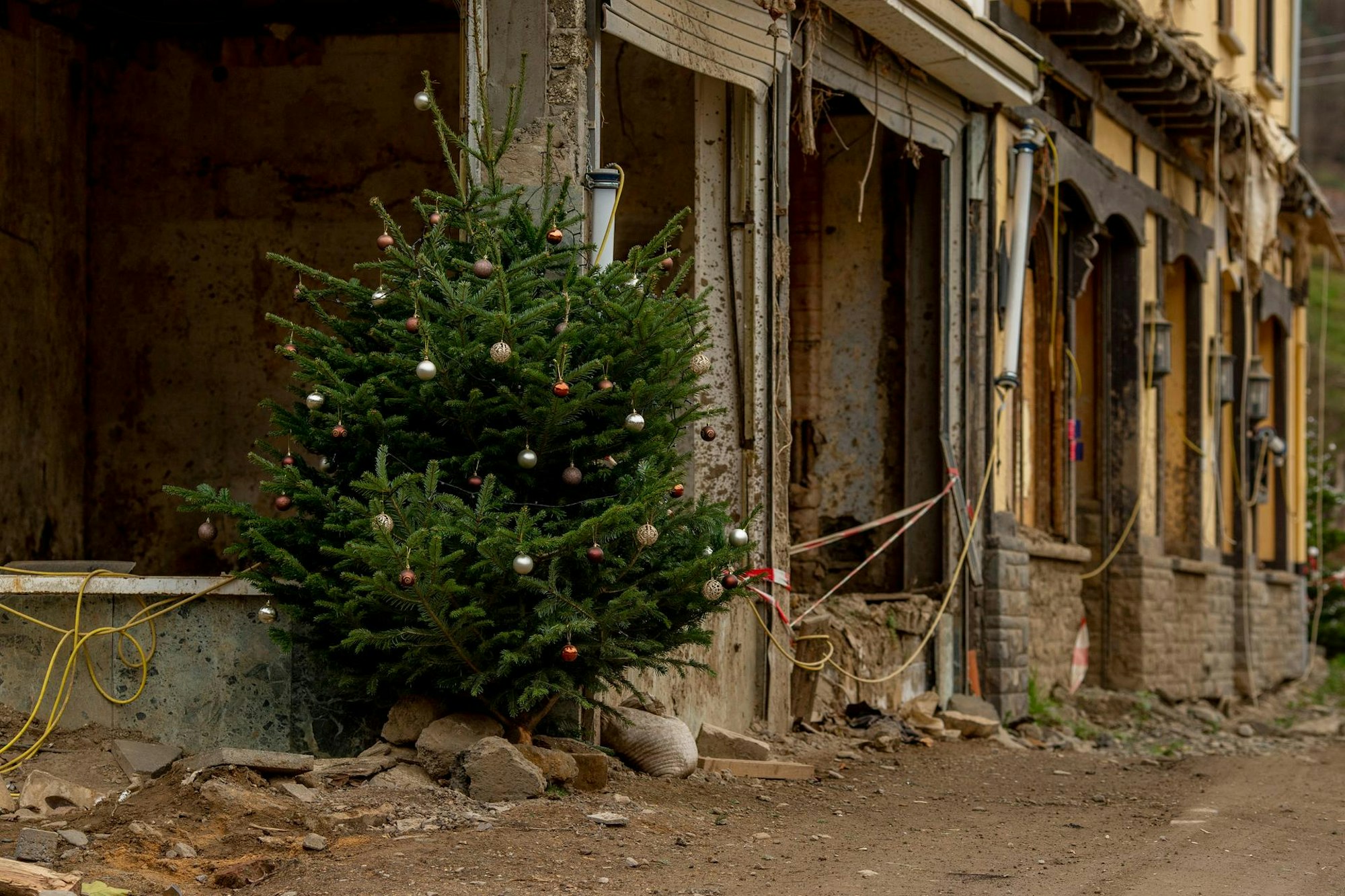 Flutreportage Weihnachtsbäume