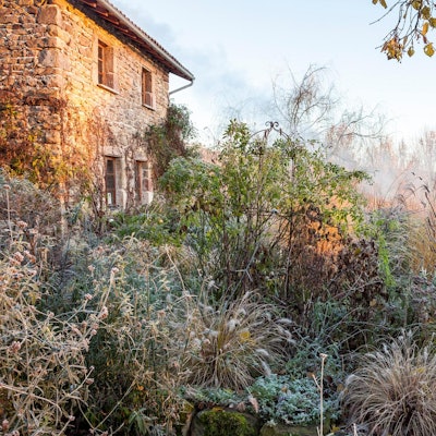 Lepple_Mein_Wabi_Sabi-Garten_9783818609436_AnnetteLepple_017