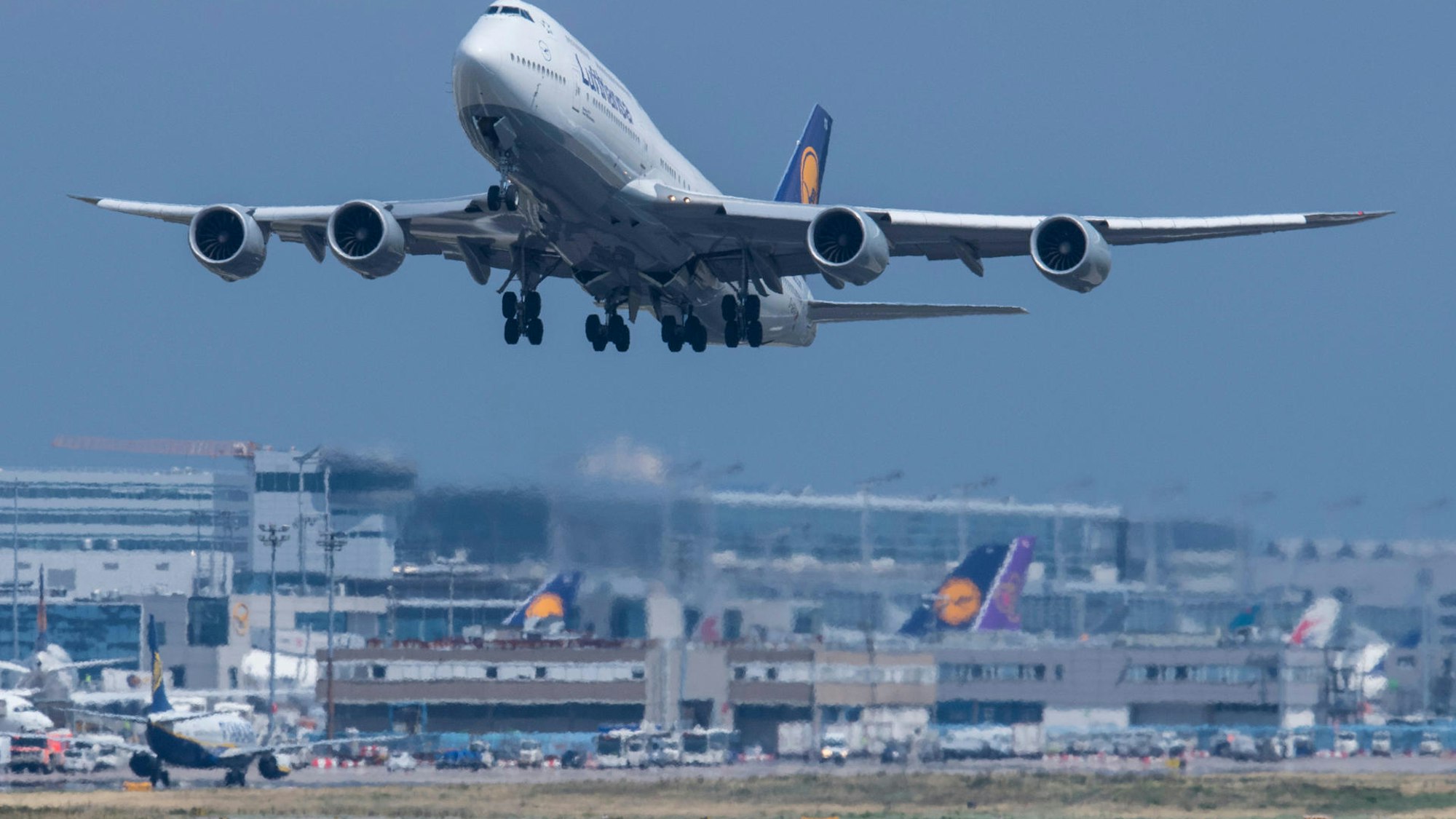 Eine Lufthansa-Boeing am Flughafen Frankfurt.