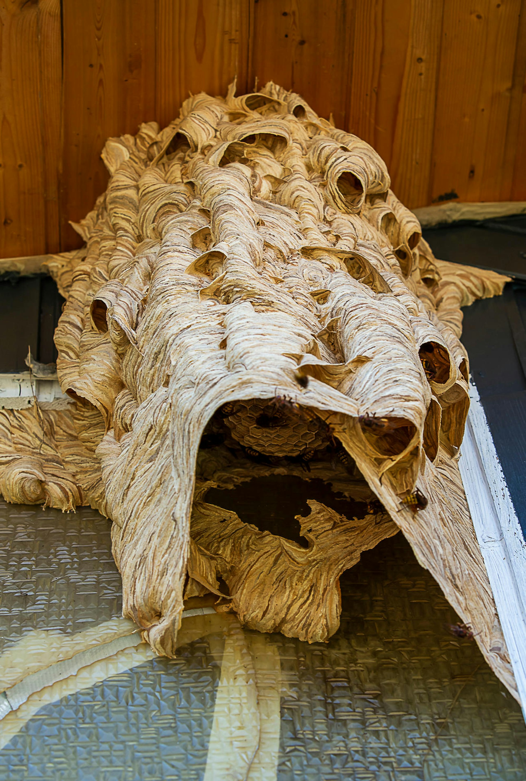 2-PanousiPhoto-IT8B7979