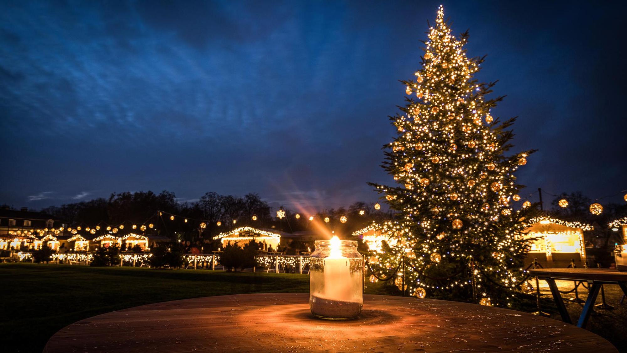 Ein Tannenbaum steht auf dem Schlossvorplatz von Schloss Benrath.