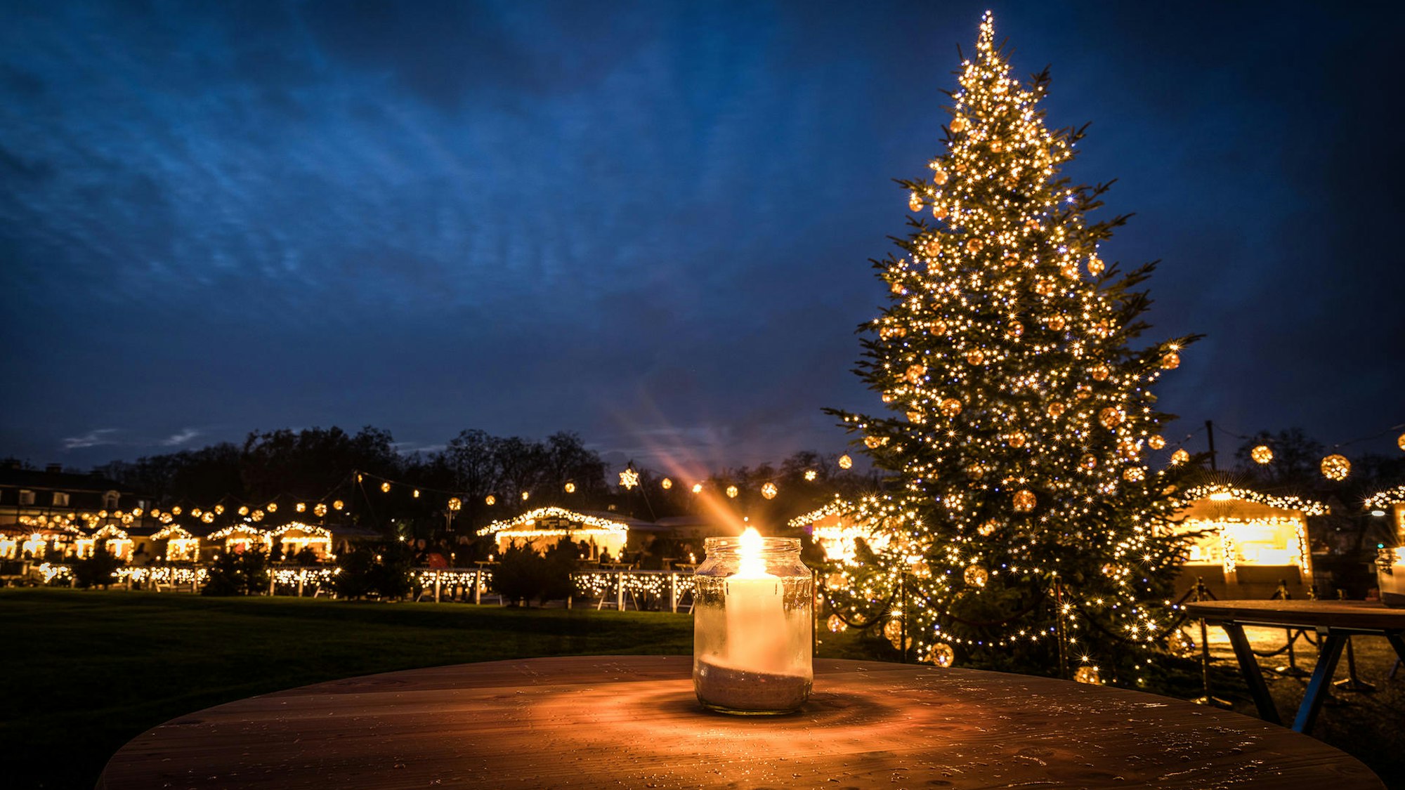 Ein Tannenbaum steht auf dem Schlossvorplatz von Schloss Benrath.