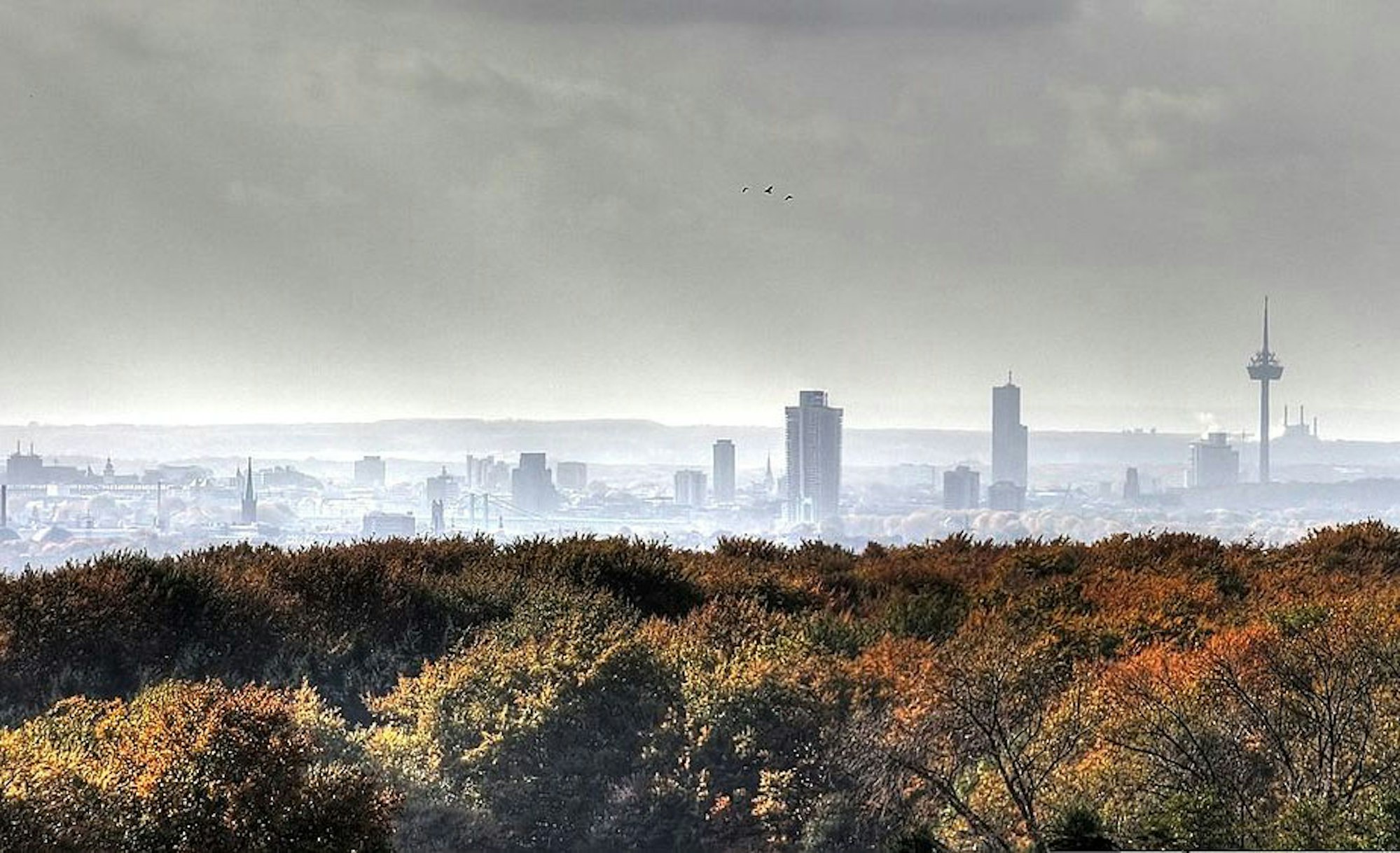 aKöln_Skyline_an_einem_regnerischem_Tag_2009