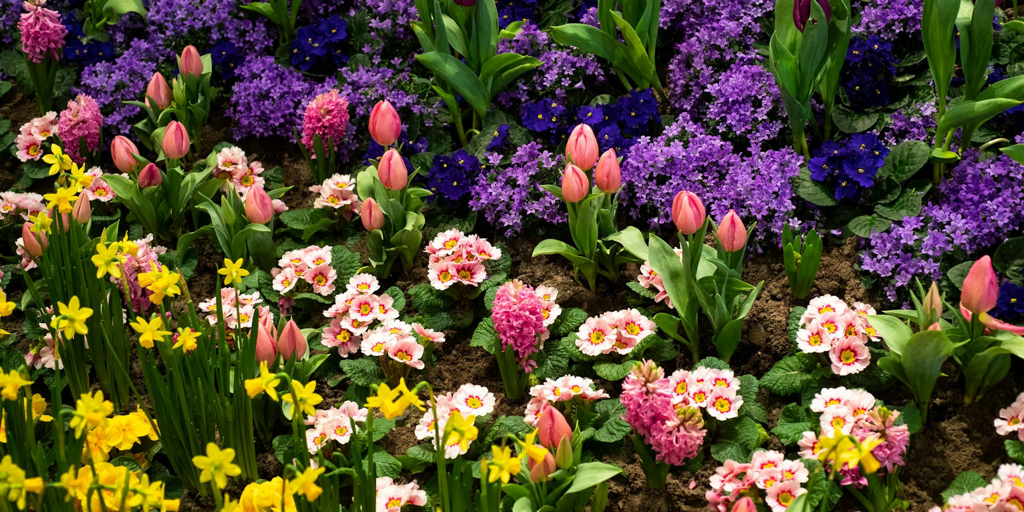 beetgestaltung fruehblueher