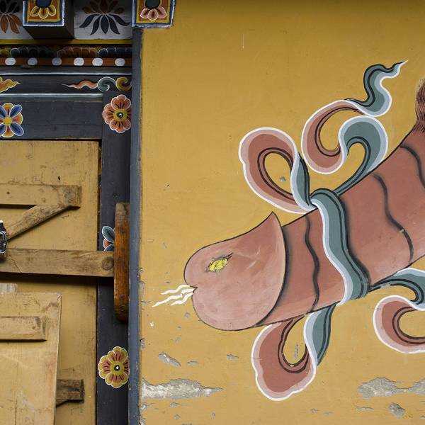 penis_bhutan_imago (1)