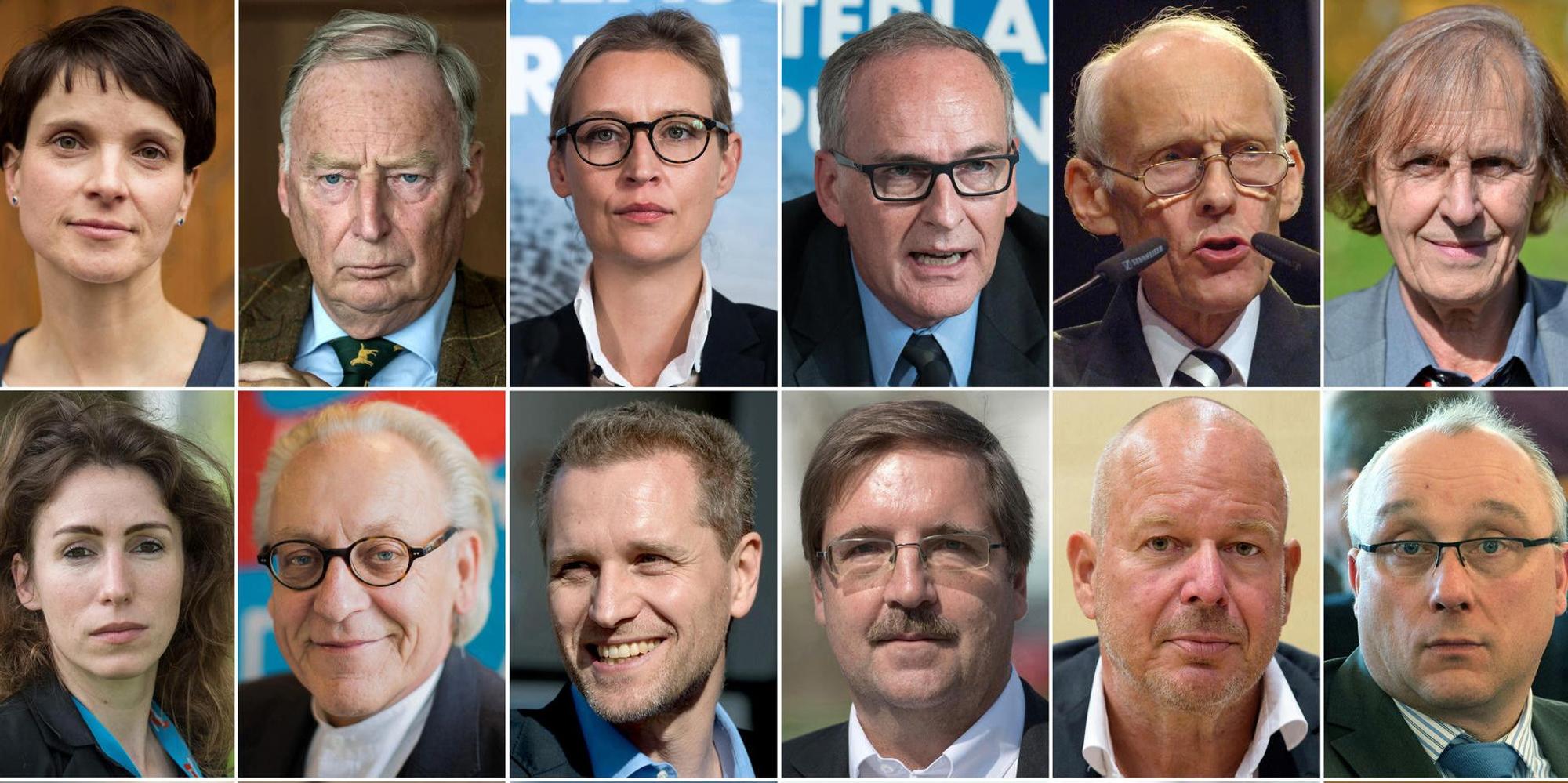 Neue AfD-Abgeordnete
