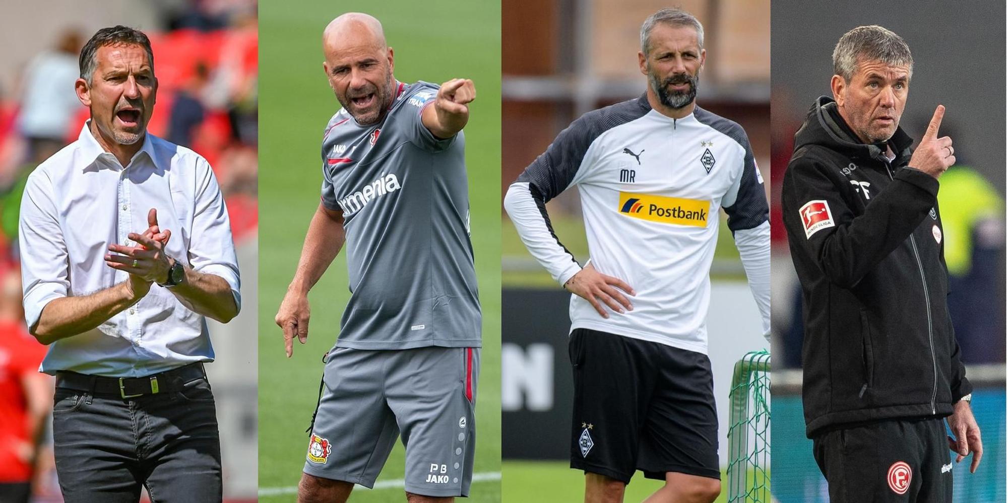 Neuer Inhalt
