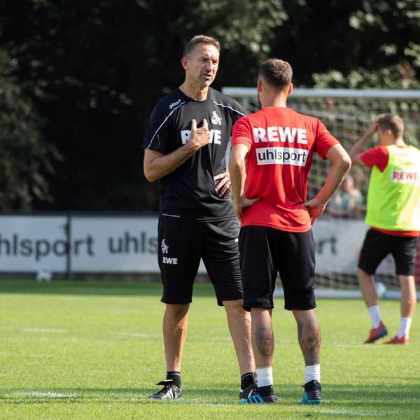 Beierlorzer Verstraete