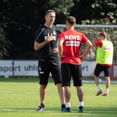 Beierlorzer Verstraete