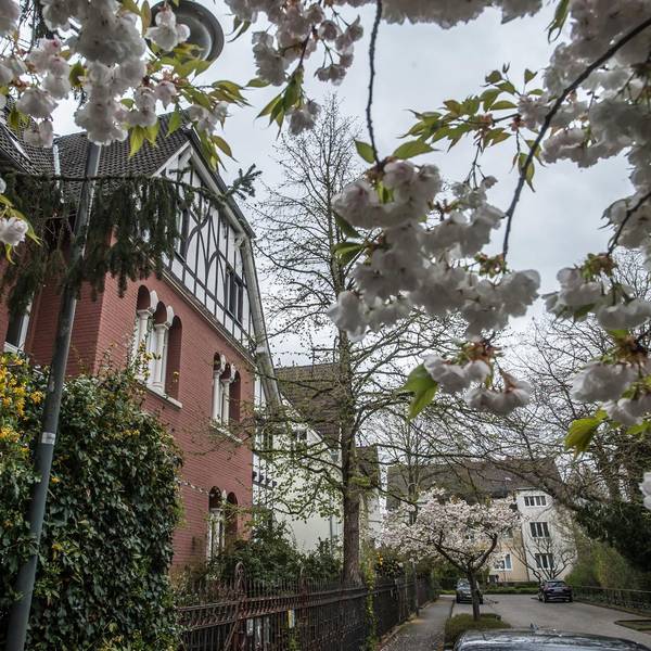 wohnen-beamtenkolonie_rar_rle_04012022ALF_3826
