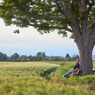 tier0_2018_06_19_MDS-KSTA-2018-06-19-71-133919751