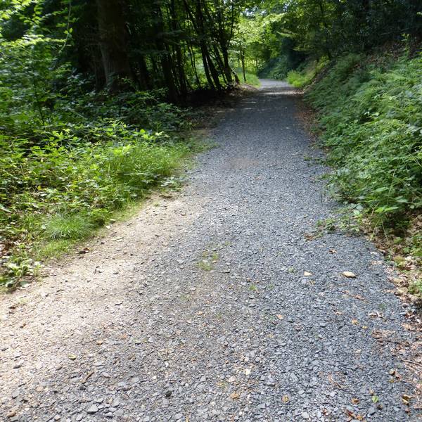 agger-suelz-radweg-6