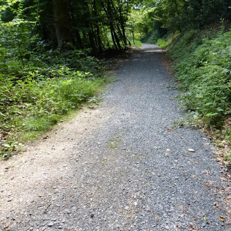 agger-suelz-radweg-6