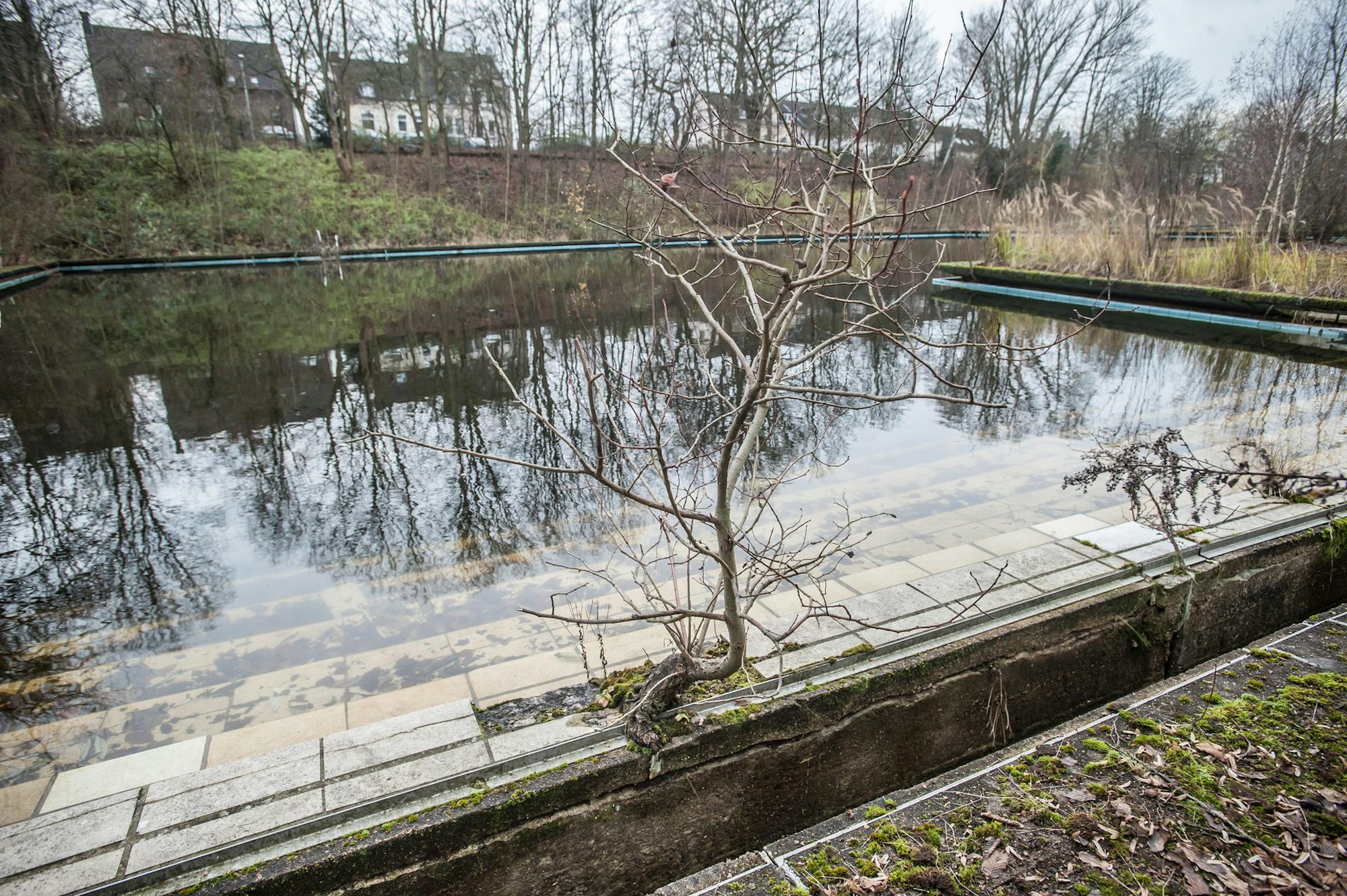 auermuehle_LEV_rar_RLE_12032021ALF_5497