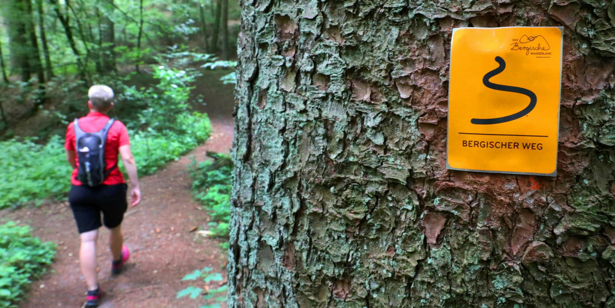 Wandertag_Hoffnungsthal_Dchatten_9223