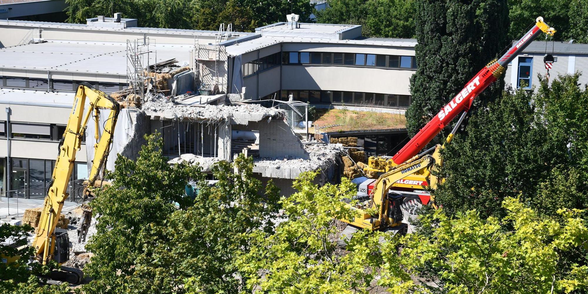 Neuer Inhalt