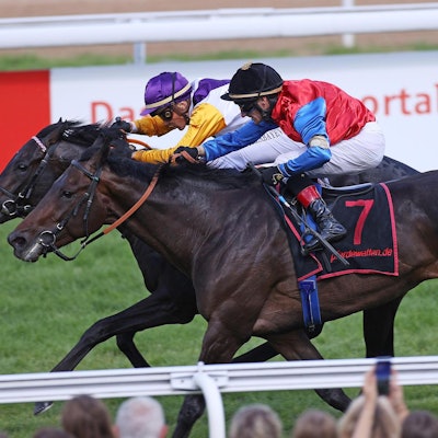 Sammarco (Jockey Bauyrzhan Murzabayev) Sieger im Sparkasse KölnBonn-Union-Rennen Gr. 2 innen vor So Moonstruck_Marc Rühl