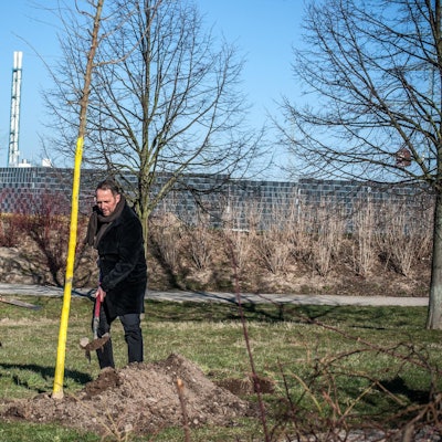 Explosionsgedenkbaum