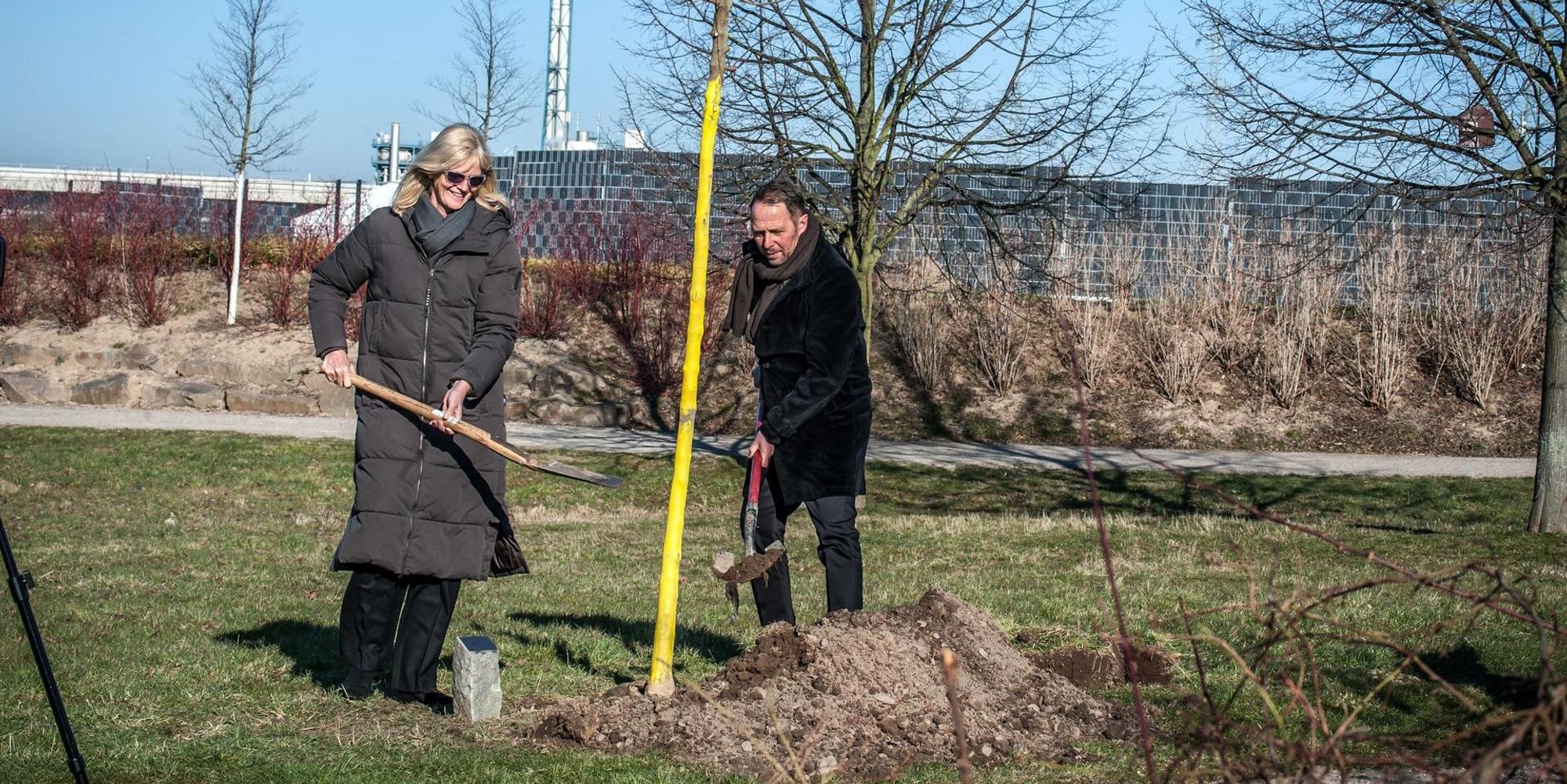 Explosionsgedenkbaum