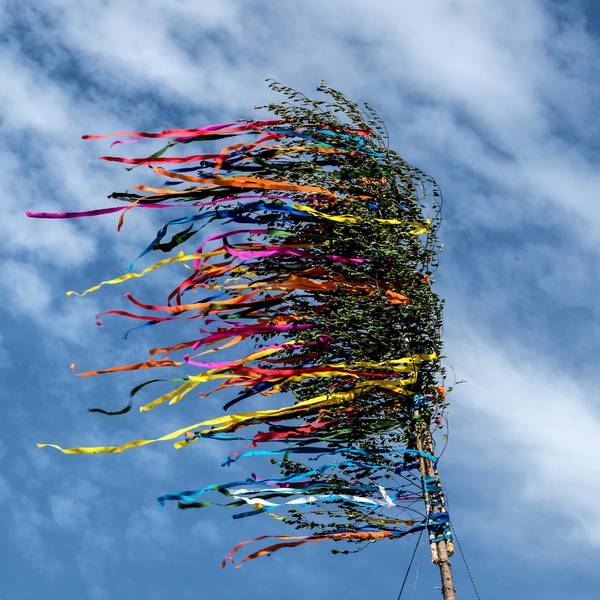 maibaum