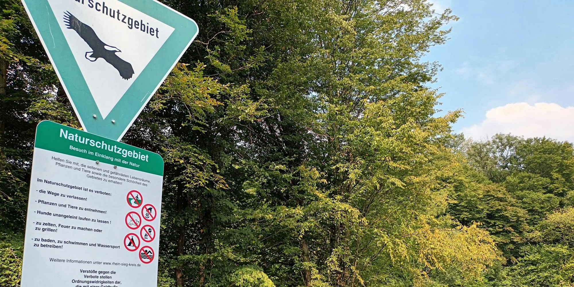 Neuer Inhalt (3)