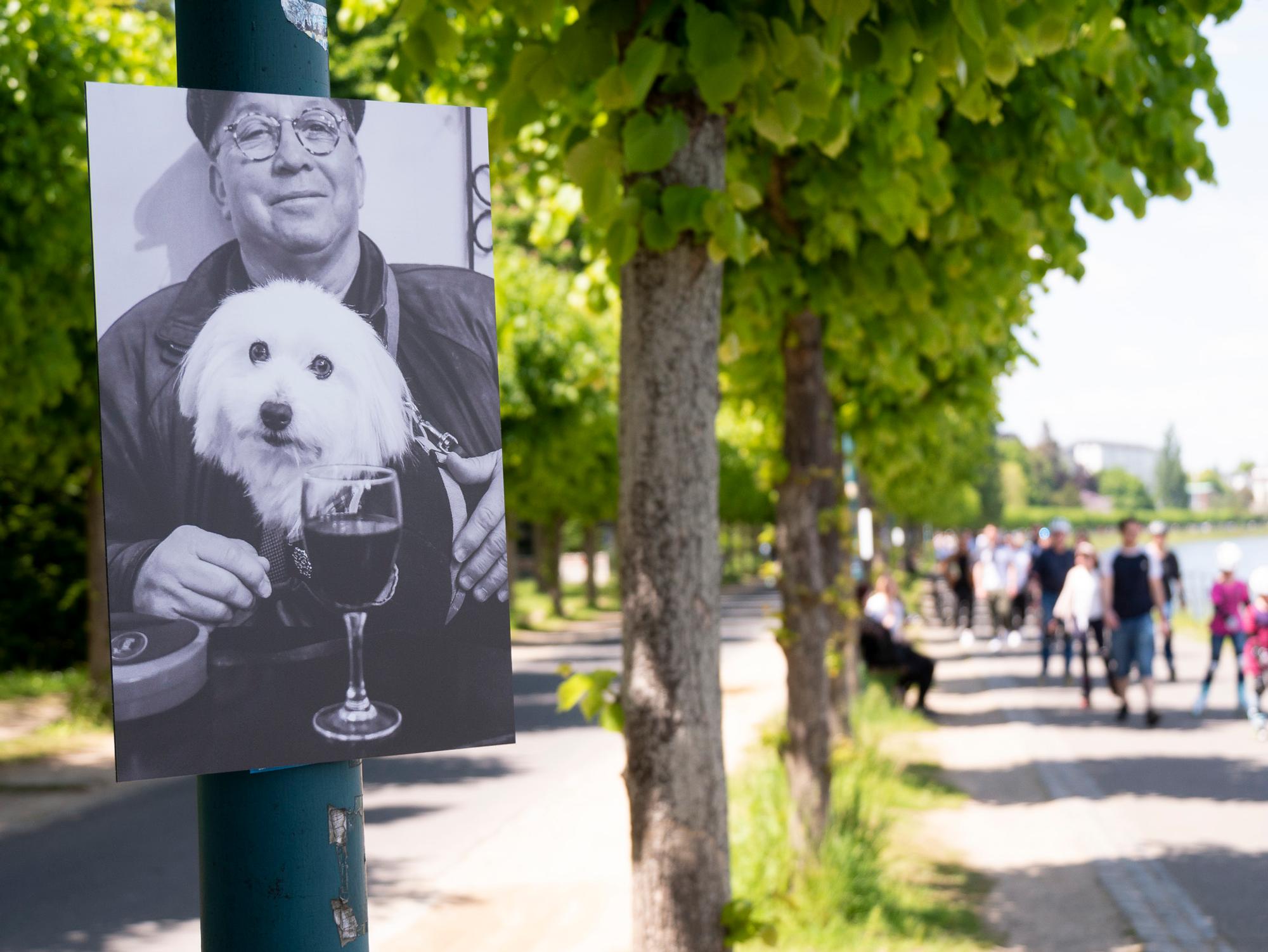 Kunstspaziergang_Rheinufer_Bonn3
