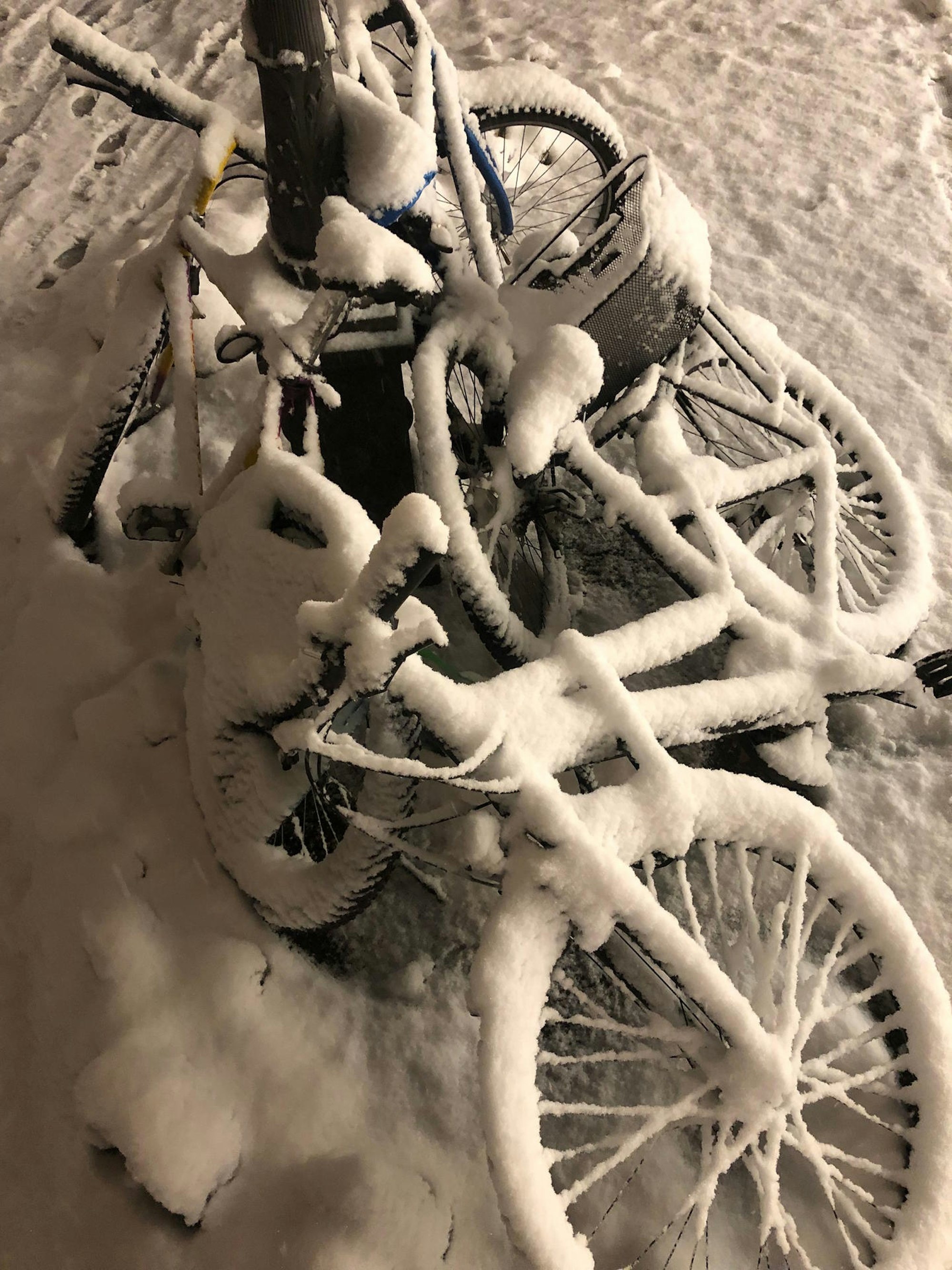 Fotowettbwerb_2019_Wetter