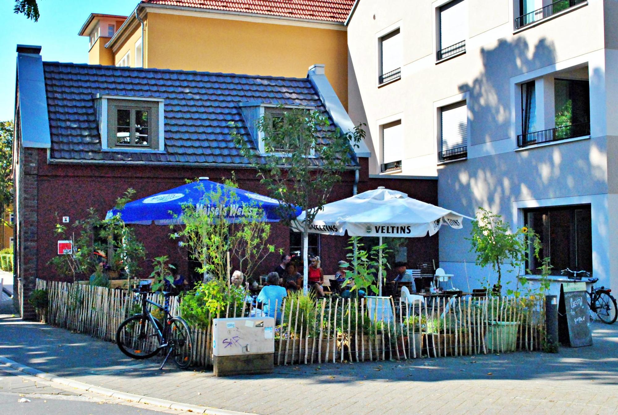 Herz1