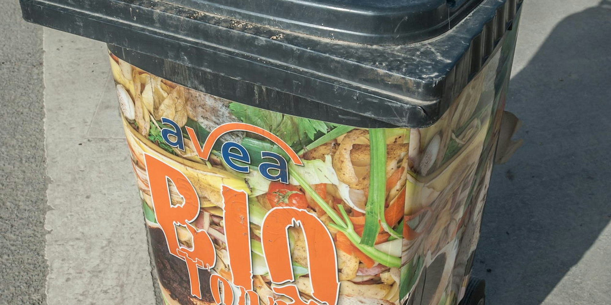 gruenschnitt-heiligeneiche-leverkusen_24022021ALF_8030