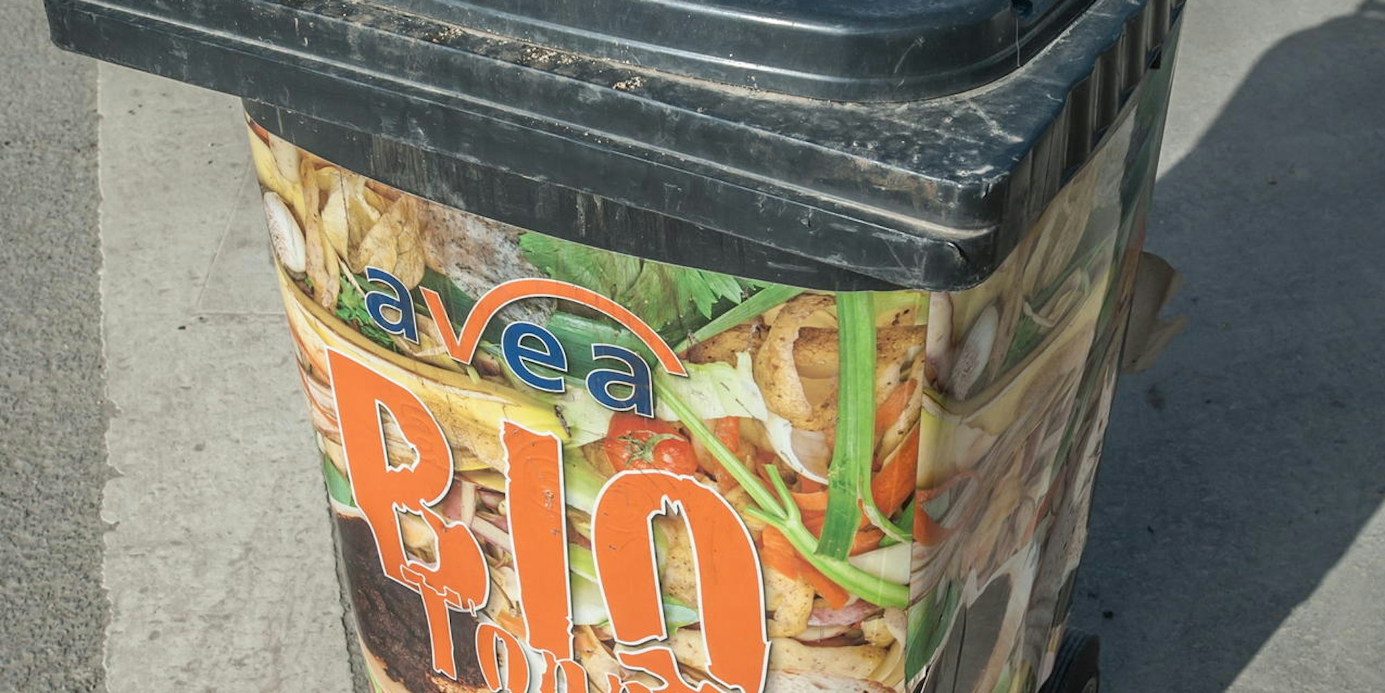 gruenschnitt-heiligeneiche-leverkusen_24022021ALF_8030