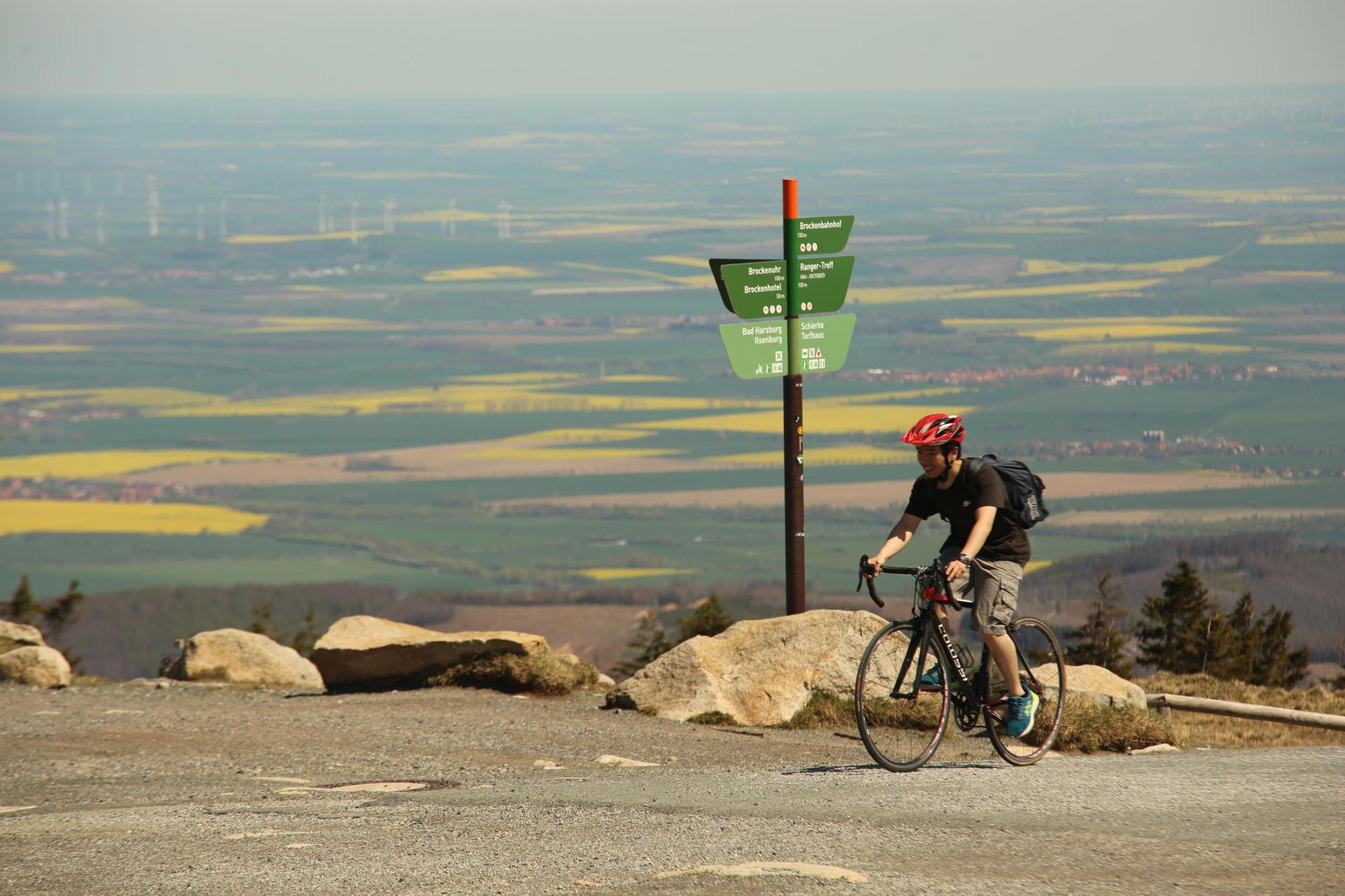 Harz Sommer