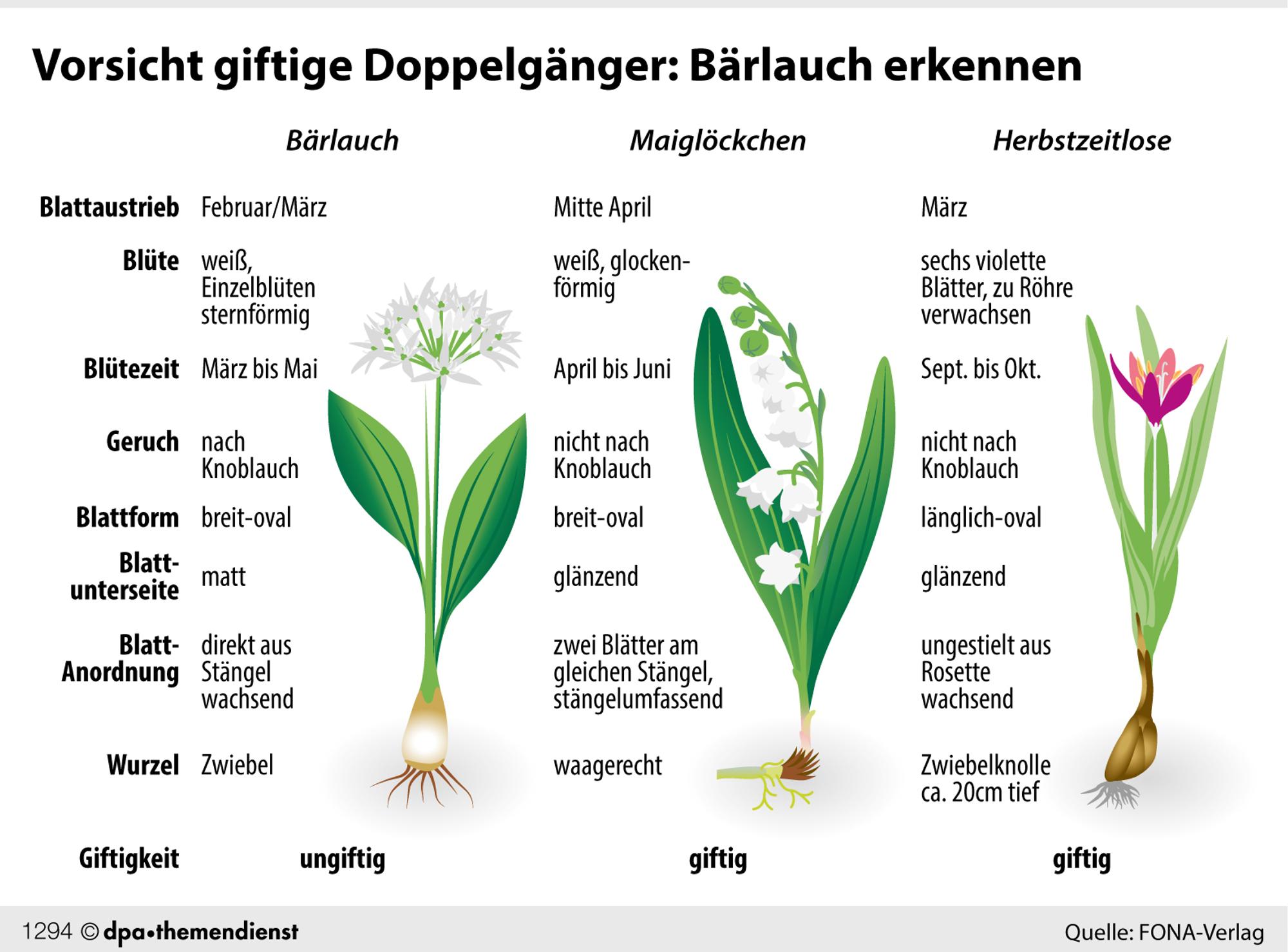 Aehnliche_Blaetter_D_69118205